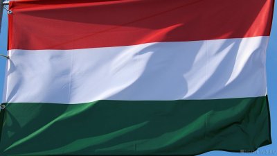 Президент Венгрии призвала НАТО не втягиваться в конфликт на Украине